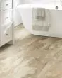 Paragon Tile Plus Clay