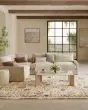 Pardis PRD01 Ivory Rust Area Rug