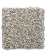 Park Hill Textured Nylon 58oz Carpet