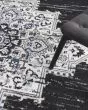 Passion PSN03 Black Ivory Area Rug