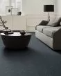 Grand Lake Patterned Nylon Carpet