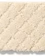 Pawnache Patterned Nylon Carpet