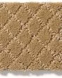 Pawnache Golden Straw Carpet