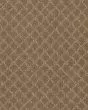 Pawnache Peanut Shell Carpet
