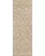 Penny PEN-02 Coffee/Natural Area Rug