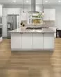 Pergo Extreme Preferred Wood Originals Crowned Vinyl