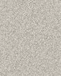 Pikes Peak Textured Nylon Carpet
