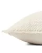 PLL0121 Ivory 22"x22" Pillow