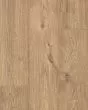 RevWood Plus Elderwood Sandbank Oak 7" Laminate