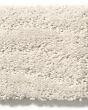 Pose Patterned Nylon Carpet