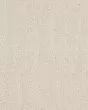 Pose Patterned Nylon Carpet