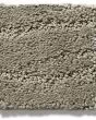 Pose Patterned Nylon Carpet