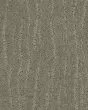 Pose Patterned Nylon Carpet
