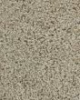 Posh Beauty Bashful Carpet