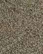 Posh Beauty Textured SmartStrand Carpet