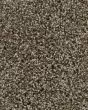 Posh Beauty Lush Suese Carpet