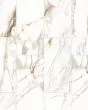 Prati Calacatta Macchia Vecchia Honed Glazed Porcelain 12"x24" Field TIle