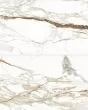 Prati Calacatta Macchia Vecchia Polished Glazed Porcelain 24"x48" Field TIle