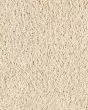 Pure Distinction II Textured SmartStrand Carpet