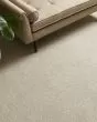 Purrfection Pet Friendly Nylon Carpet