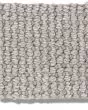 Purrfection Silver Birch Carpet
