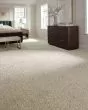 Purrsonality II Pet Friendly 60oz Carpet