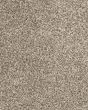 Purrsonality II Cascade Carpet