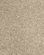 Purrsonality III Pet Friendly 75oz Carpet