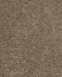 Purrsonality I Legend Carpet