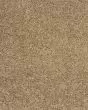 Purrsonality III Pet Friendly 75oz Carpet