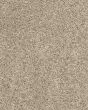 Purrsonality II Pet Friendly 60oz Carpet