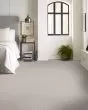 Quiet Trail Pet Friendly 43oz Carpet