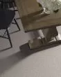 Quiet Trail Pet Friendly 43oz Carpet
