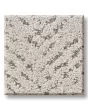 Quiet Trail Pet Friendly 43oz Carpet