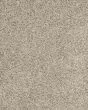 Raise The Woof II Pet Friendly 53oz Carpet