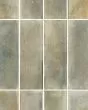 Raku Sage Porcelain Tile