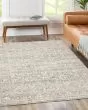 Regal RG1 Putty Area Rug