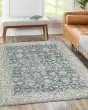 Regal RG3 Denim Area Rug