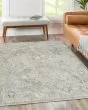Regal RG4 Sky Area Rug