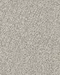 Ridgeway Walk Textured Nylon Carpet