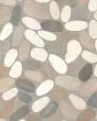 River Pebbles Light Blend Natural Stone Tile