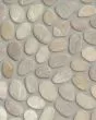 River Pebbles Taupe Blend Natural Stone Tile