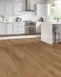 Natural Forest Red Oak Radiant Balance 5" Solid Hardwood