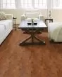 Clearwater Burnside 5" Maple Hardwood