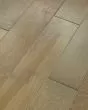 Clearwater Oceanside 5" Maple Hardwood