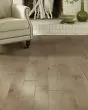 Clearwater Oceanside 5" Maple Hardwood