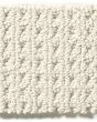 San Lucas Patterned Nylon Carpet