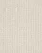 San Lucas Patterned Nylon Carpet