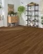 Covington Falls SolidTech Select Chestnut Luxury Vinyl