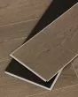 Cali Windansea Sea Scallop Vinyl Plank